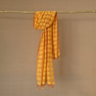 Missing dent check dupatta 32