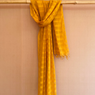 Missing Dent Checks Dupatta - GD 34