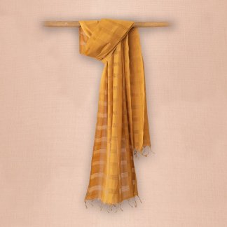 Missing dent check dupatta 13